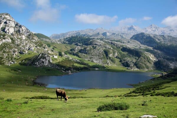 Le Queyras : destination nature pour vos prochaines vacances